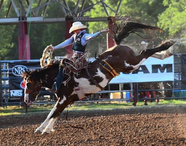 Warwick Rodeo and Gold Cup Campdraft 2025 | Sydney NSW