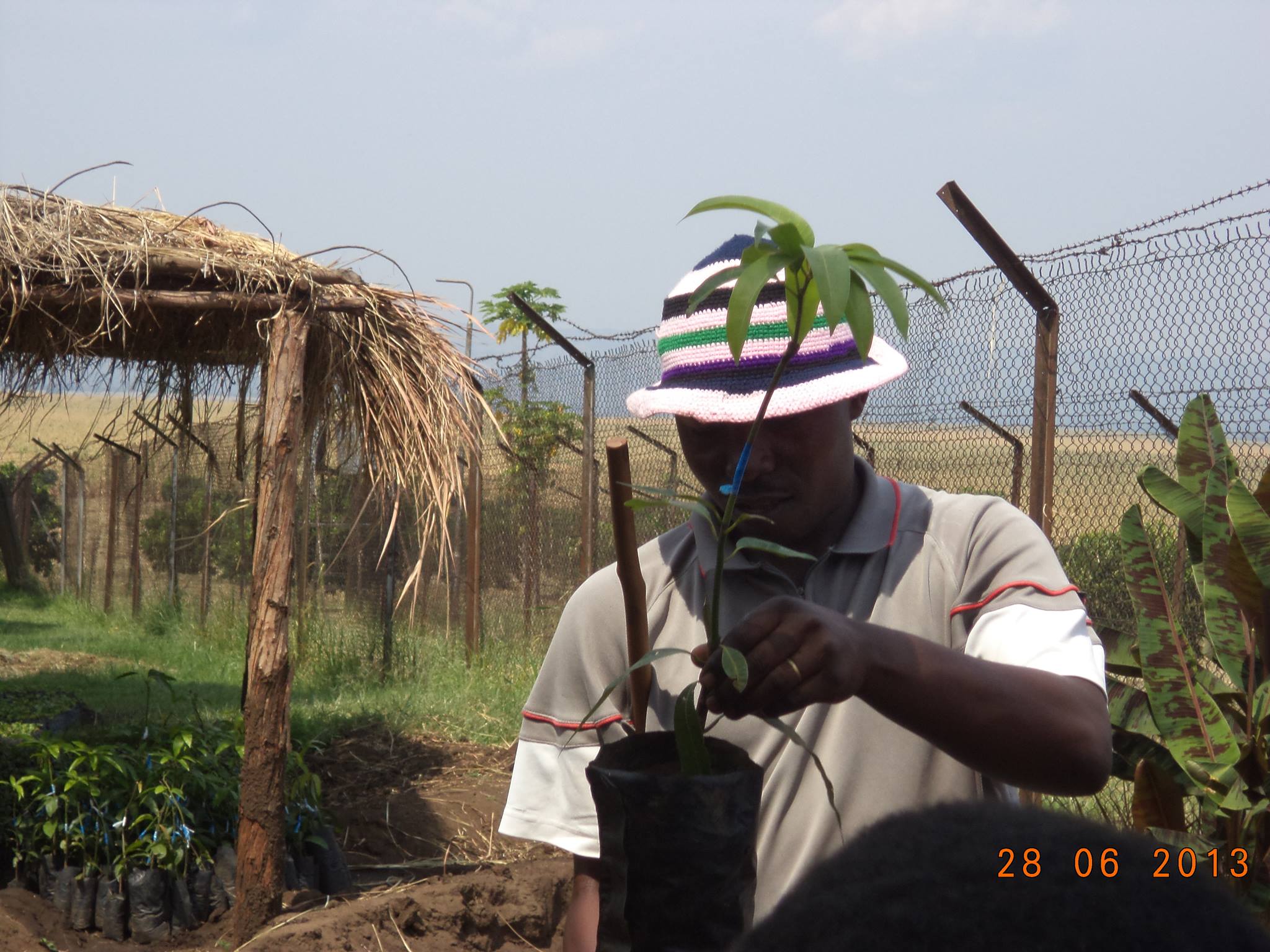 Agriculture for poverty eradication