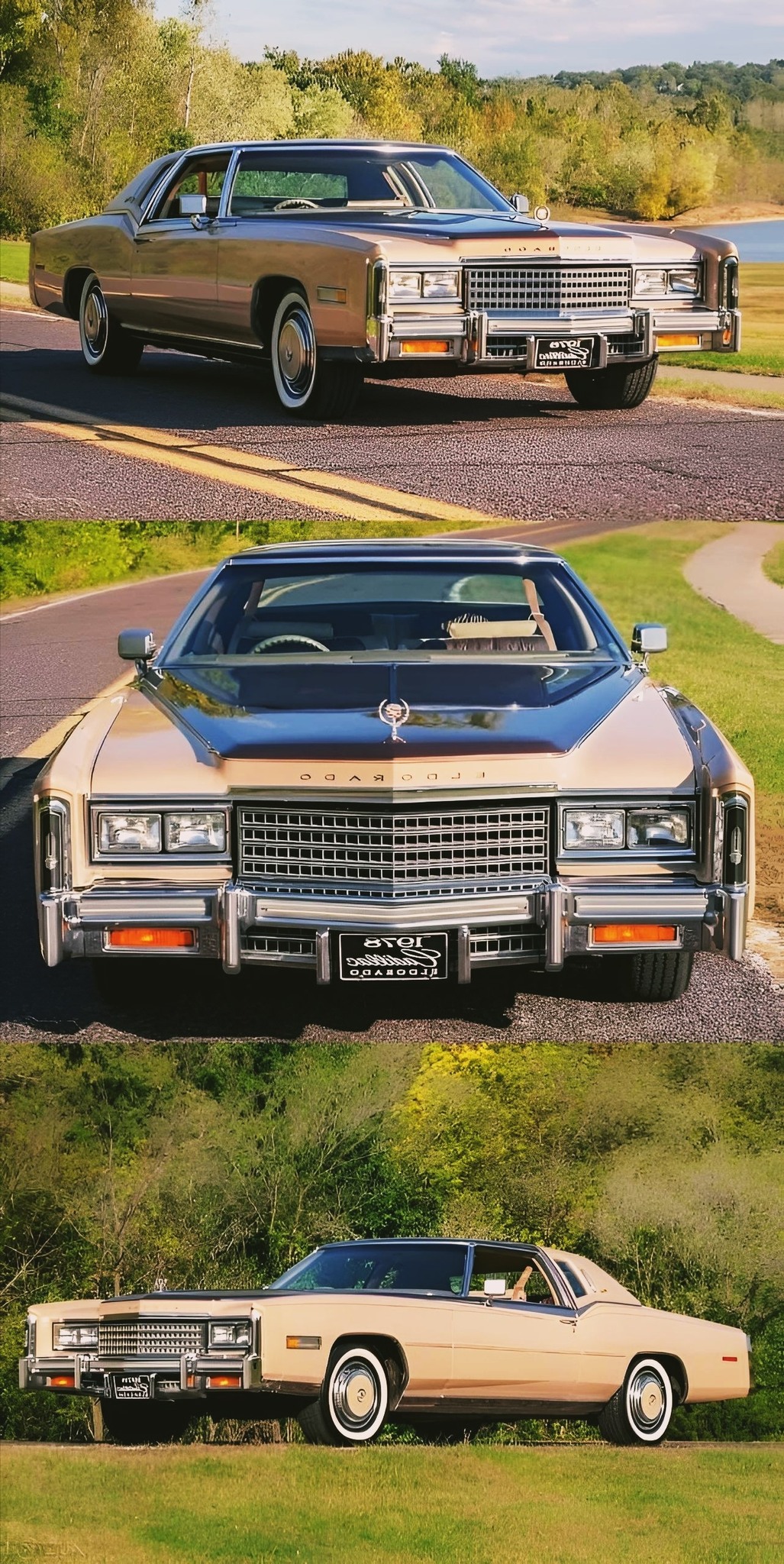 Could this 1980 #Cadillac #EldoradoBiarritz be the best example