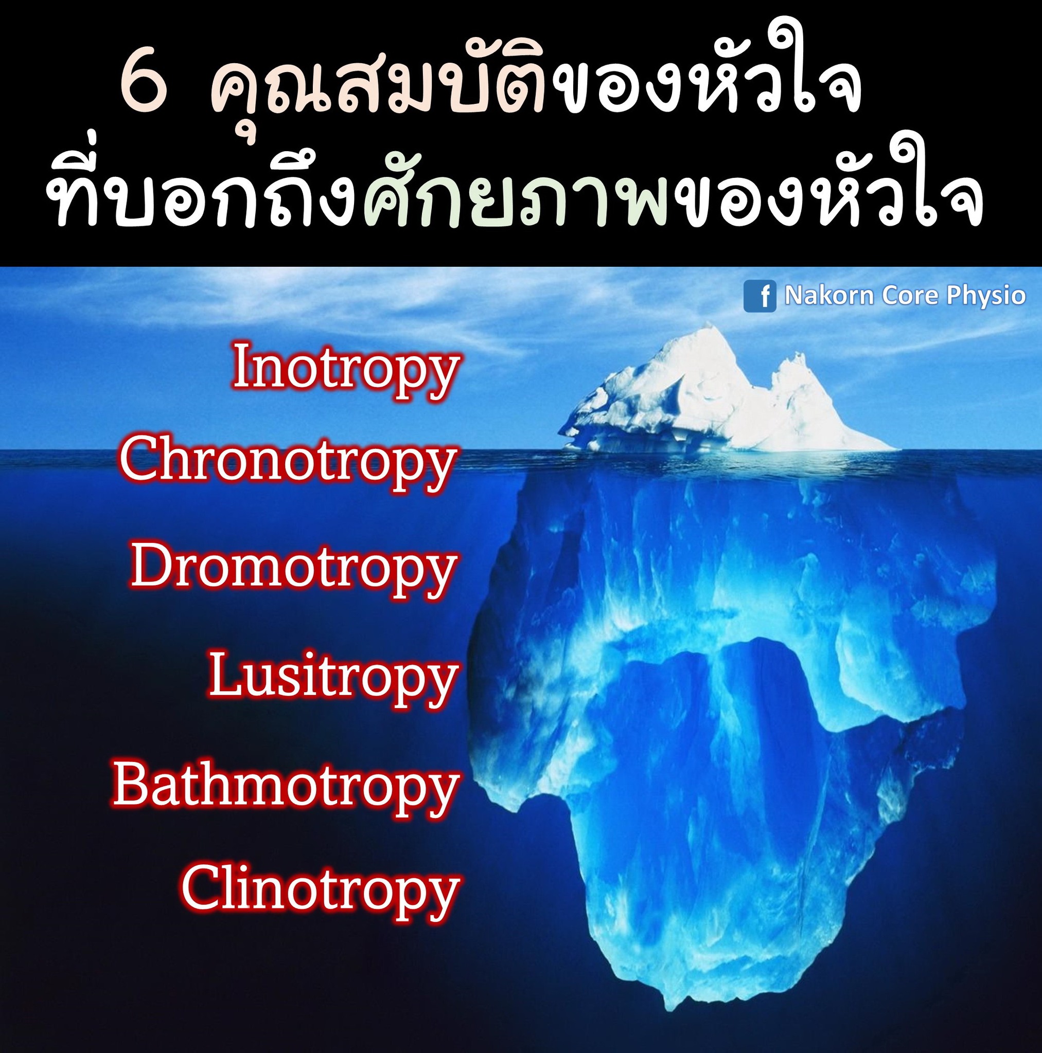 Nakorn - 6 คุณสมบัติของหัวใจ ที่บอกถึงศักยภาพในการทำงานของหัวใจ ...