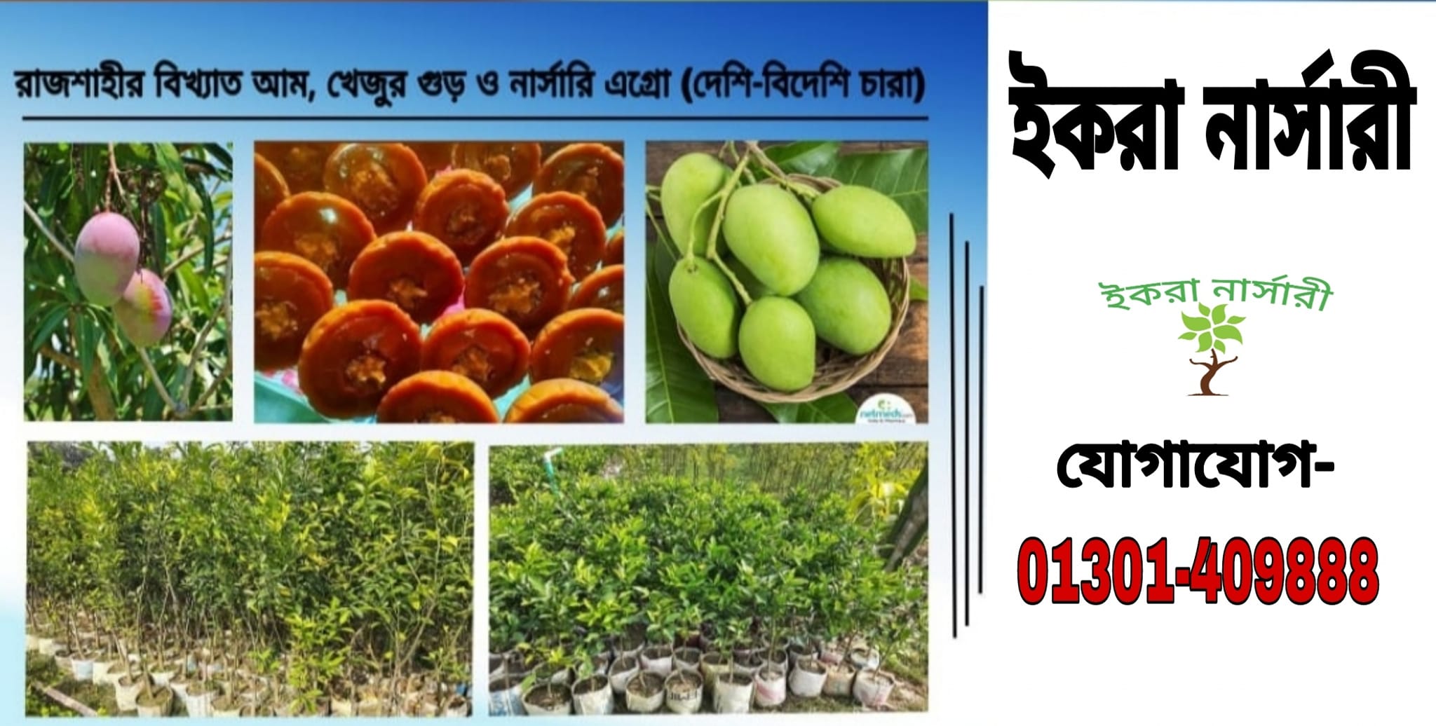ইকরা নার্সারী | Rajshahi
