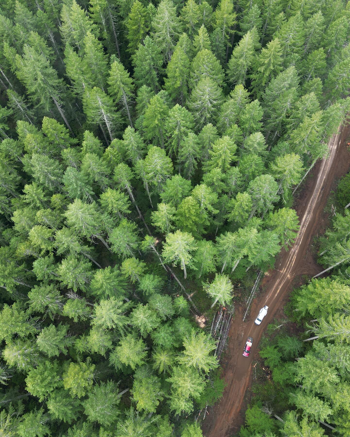 Legacy Forest Defense Coalition