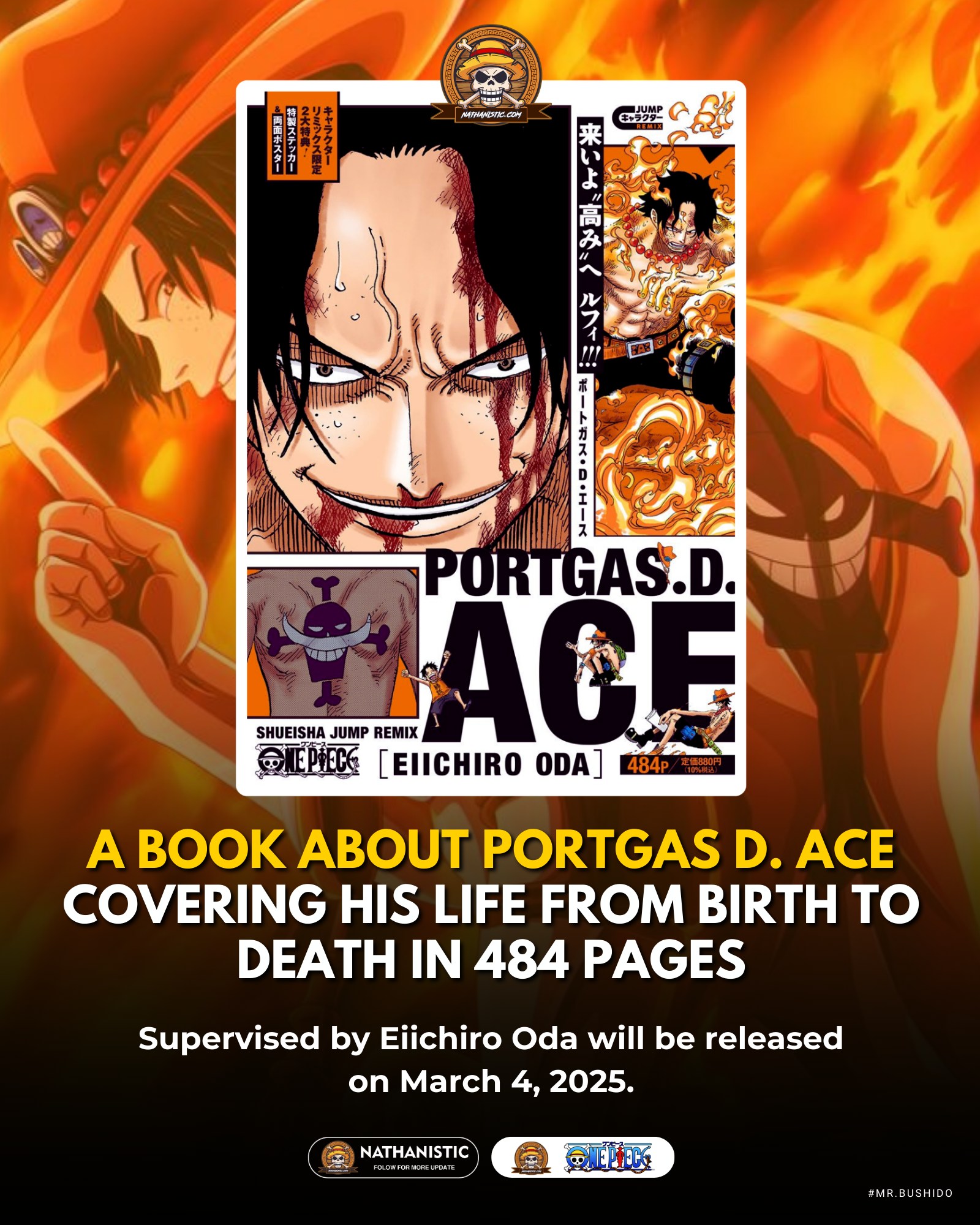 A book about Portgas D. Ace, covering his life from birth to death 