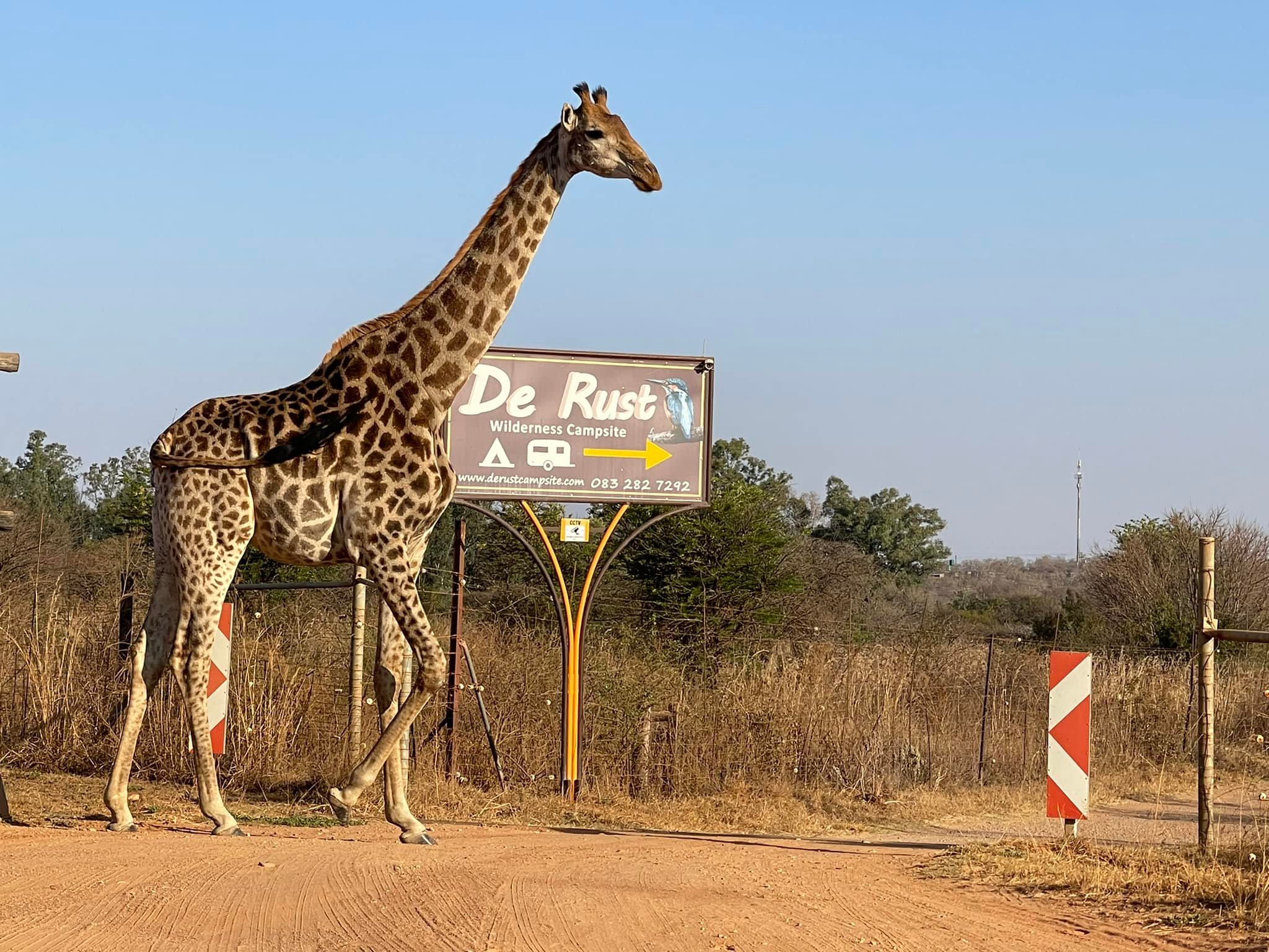 De Rust Caravan Park | Hammanskraal