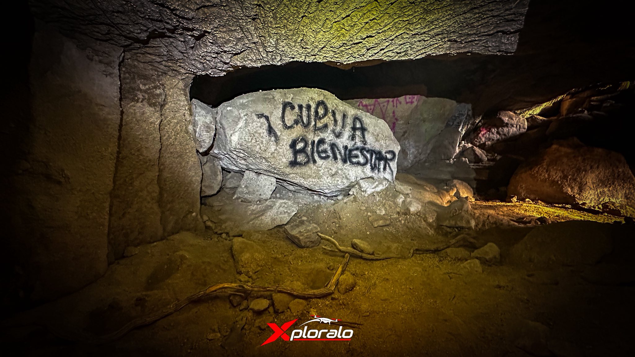 Xploralo - El Bosque de Chapultepec sigue siendo un misterio ...