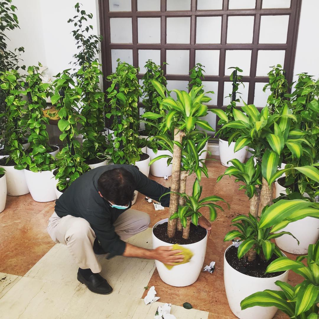 Planters Company | Riyadh