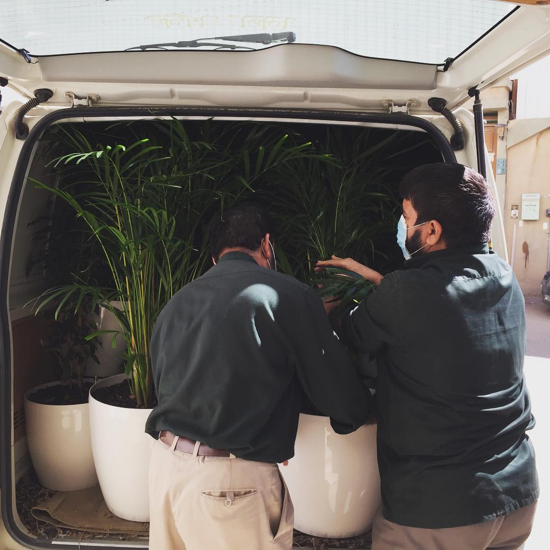 Planters Company | Riyadh