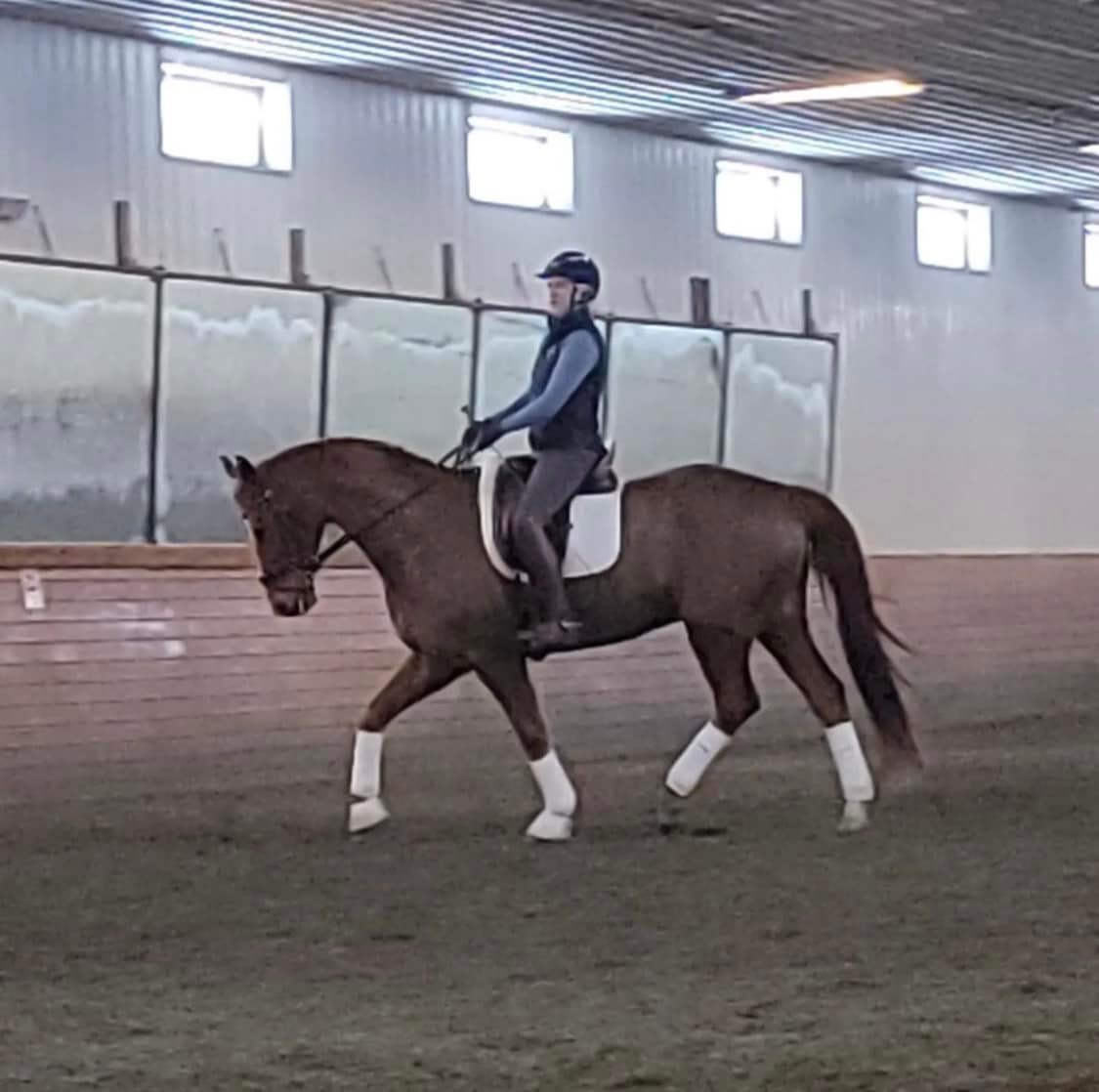 Becky Rutkowski Dressage