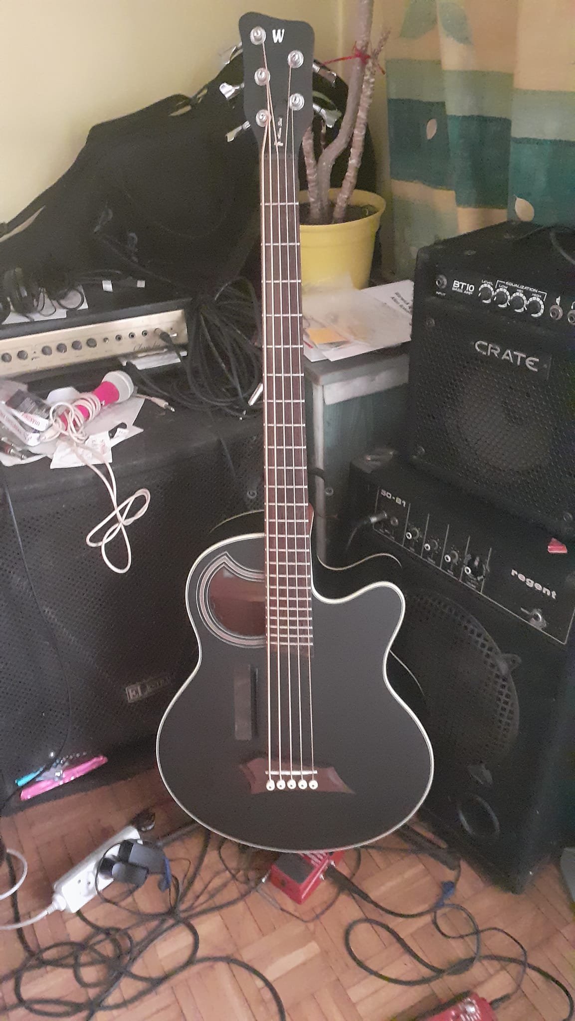 Warwick The Alien 6 String Acoustic Bass ❤🎸 . #warwickbass