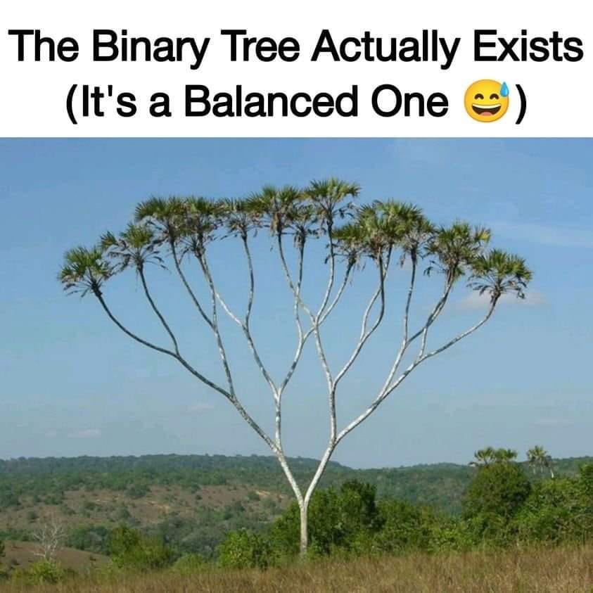 Programmers - The Binary Tree Actually Exists 😂😂 #binary #binarytree # ...