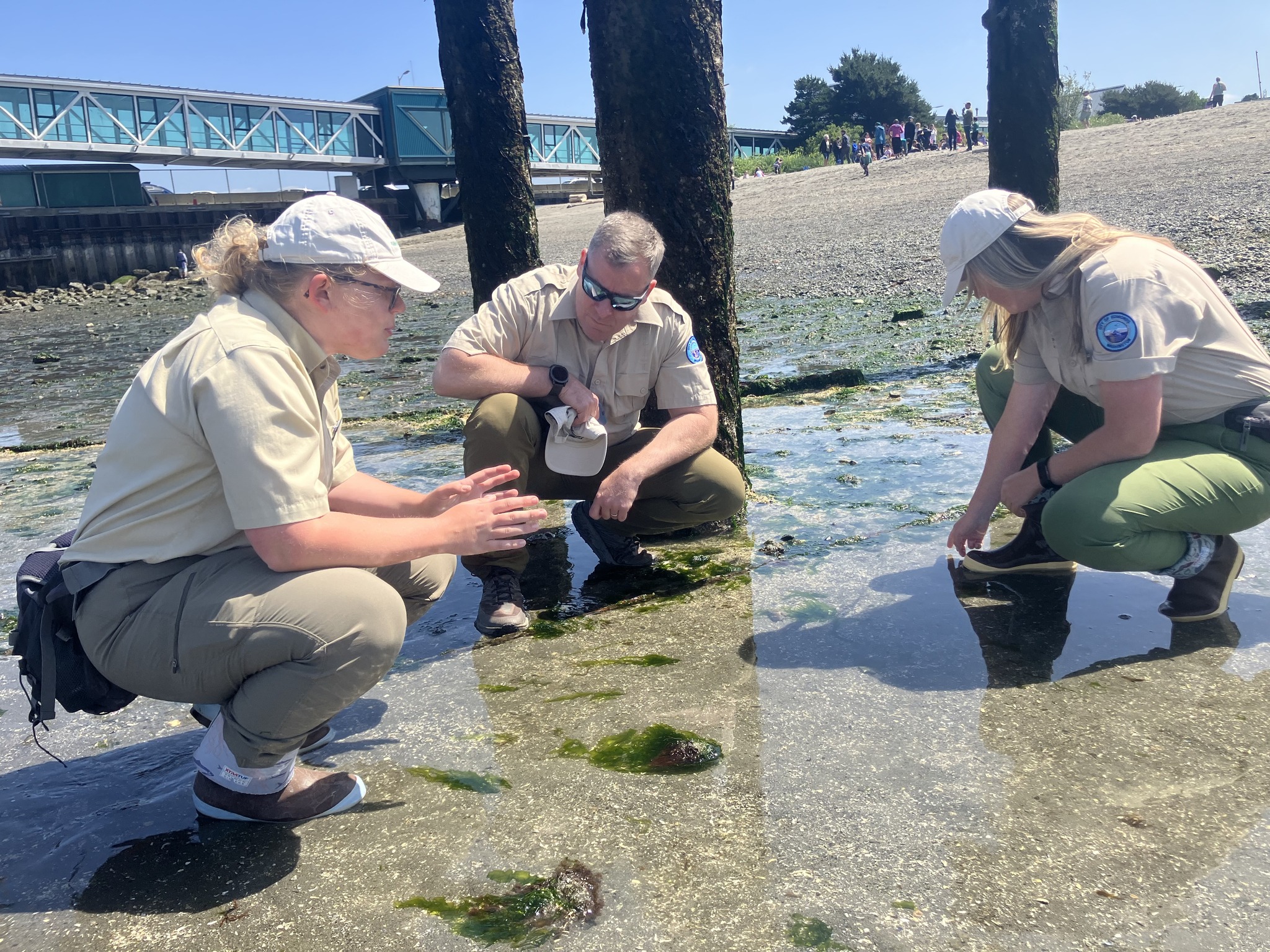 Meet Ranger... - City of Edmonds - Community and Government