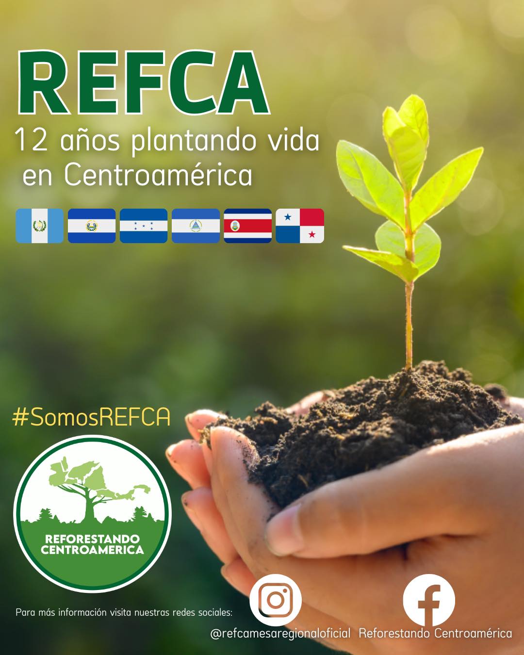 Reforestando - Plantamos Vida en Centroamérica 🤲🏻🌱🥳realizando una ...