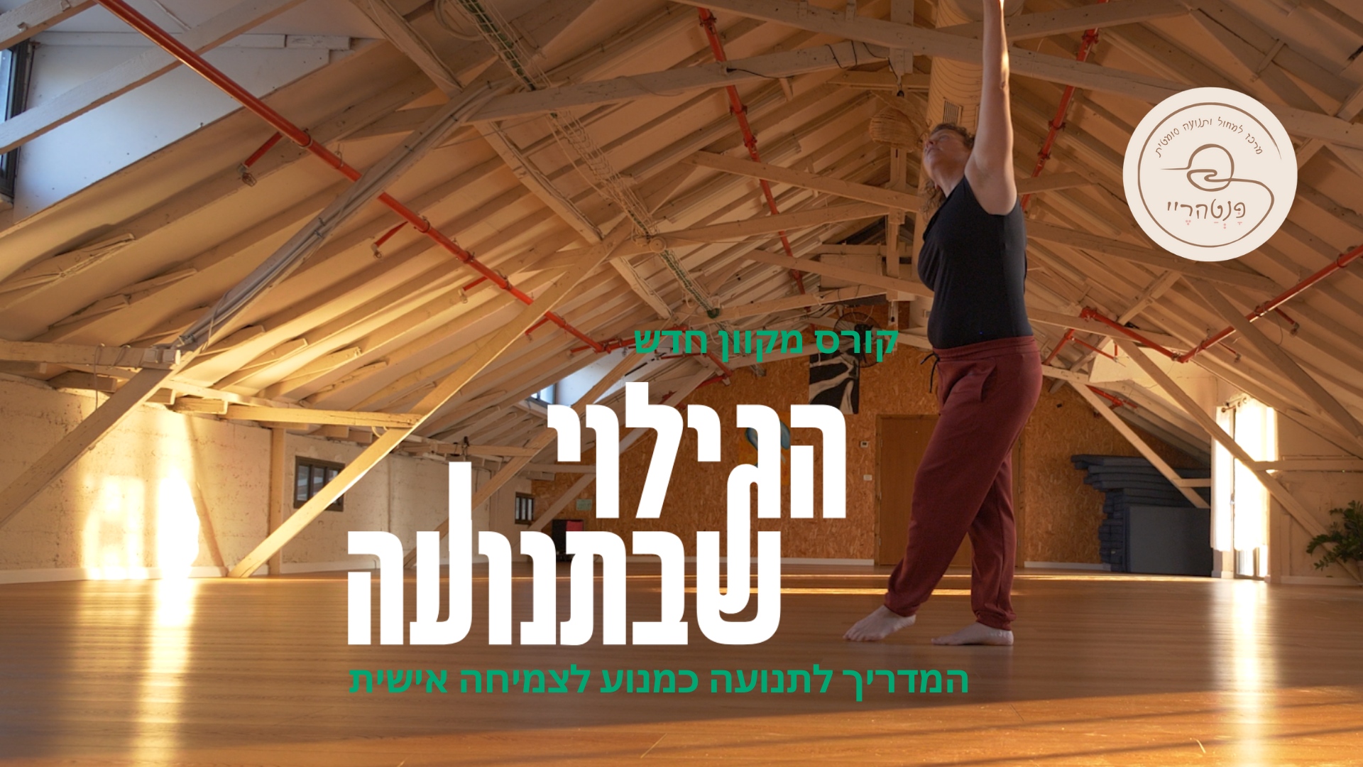 ‎פינה Pina - מחול תנועה... - פינה Pina - מחול תנועה ויצירה