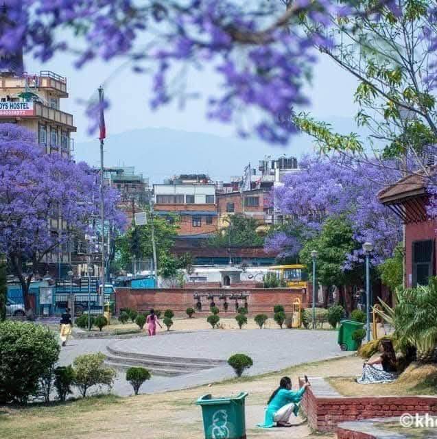 Machhindra Pyakurel
