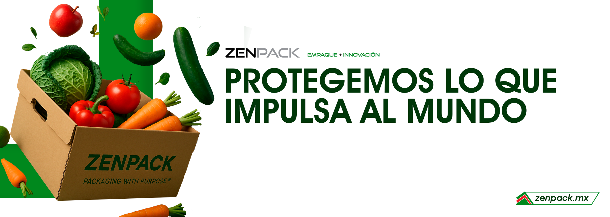 Zenpack | León