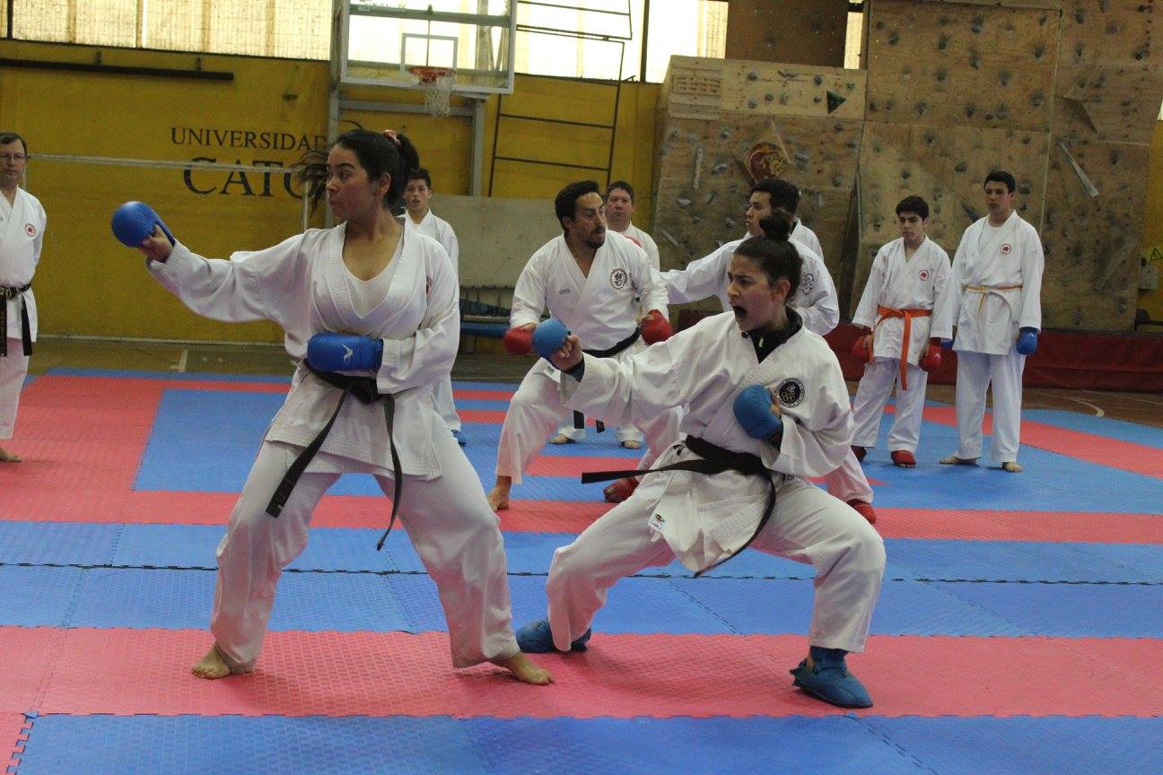 Gensei Ryu Chile Karate Do