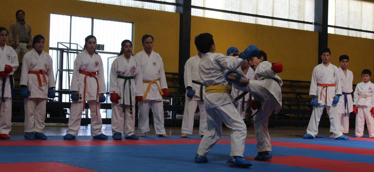 Gensei Ryu Chile Karate Do