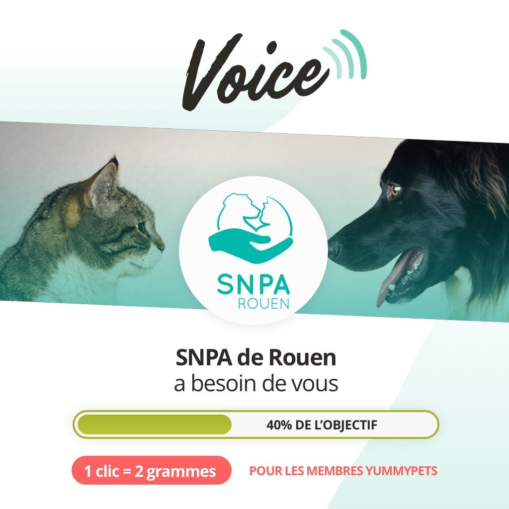 Yummypets - L'association SNPA Rouen a besoin de vous. 🐱🐶 Pour que sa ...