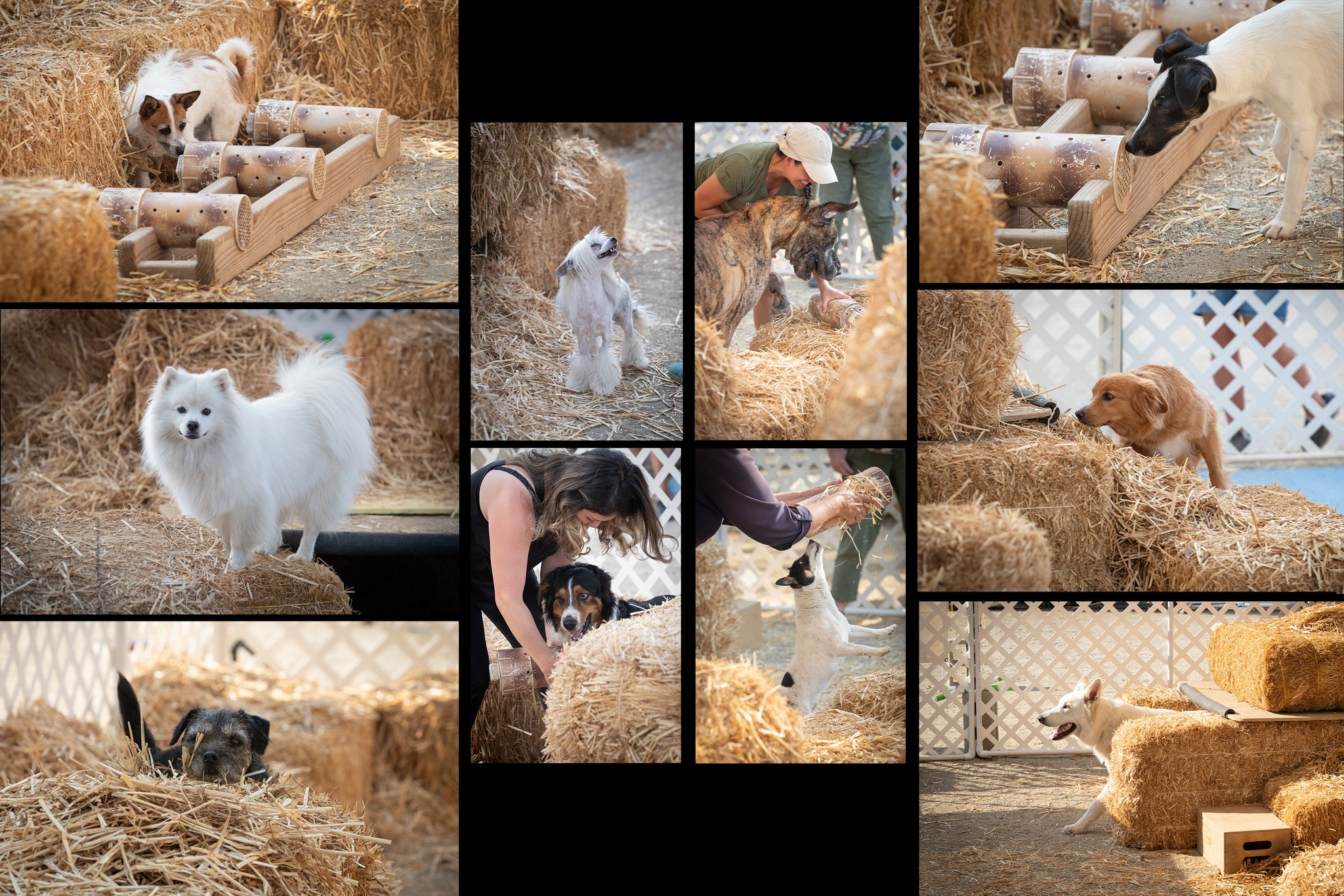 Play - Photos & Videos are now available to view and order from Silver ...