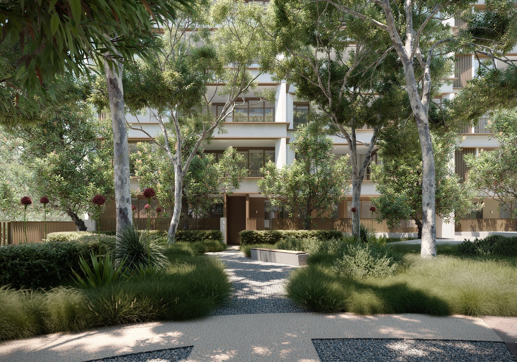 Ray - Builder Appointed at Riserva, Cammeray! With construction due to ...
