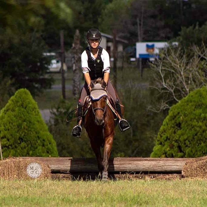 Beautiful shots from Meaghan... - Scissortail Hill Equestrian