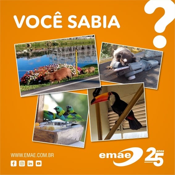 Nas... - EMAE - Empresa Metropolitana de Águas e Energia. | Facebook