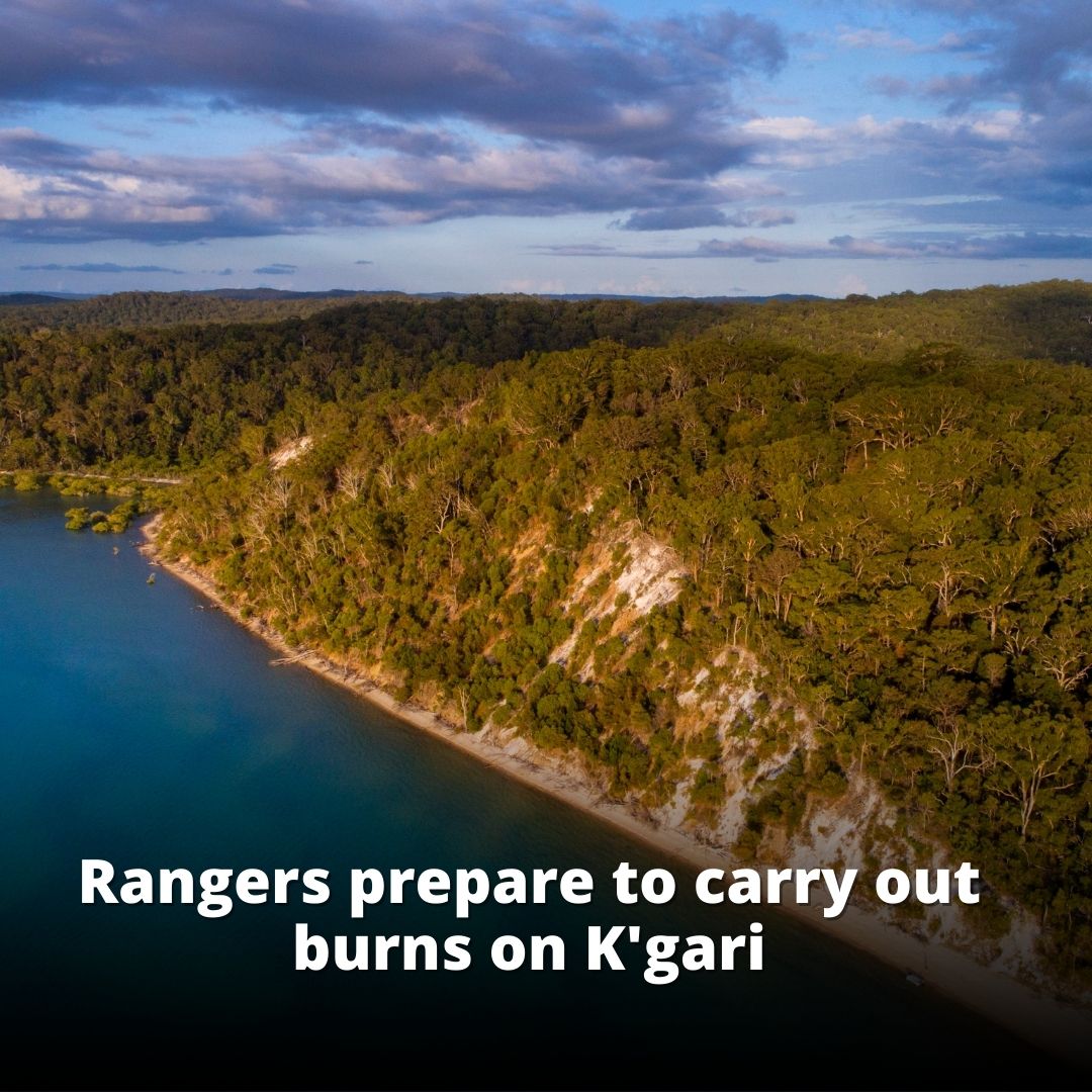 The Gympie Times - Park rangers will conduct prescribed burn operations ...