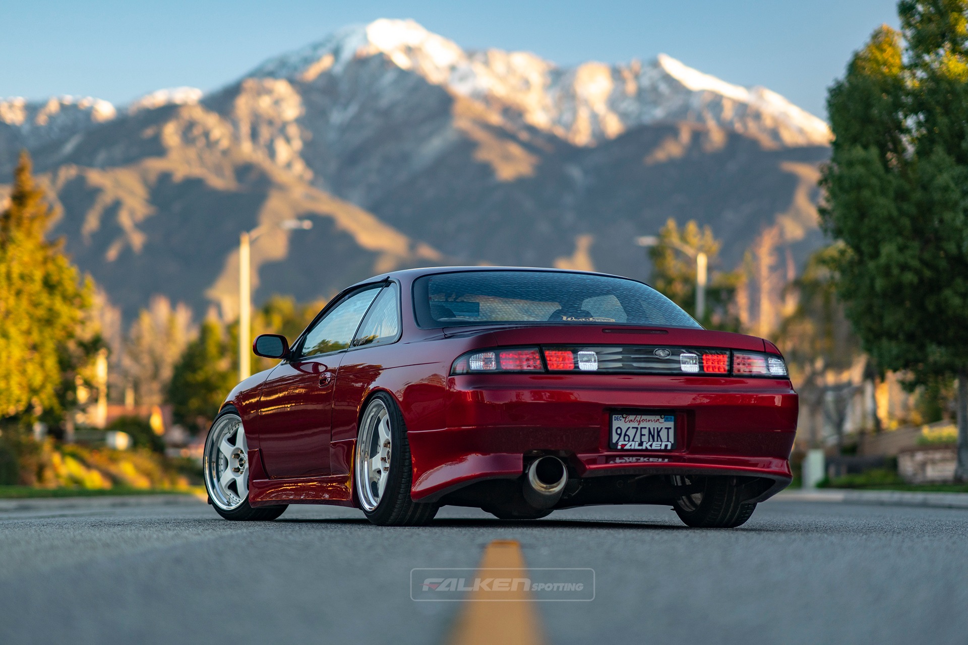 Even if you prefer a Kouki, there's no denying the beauty of this