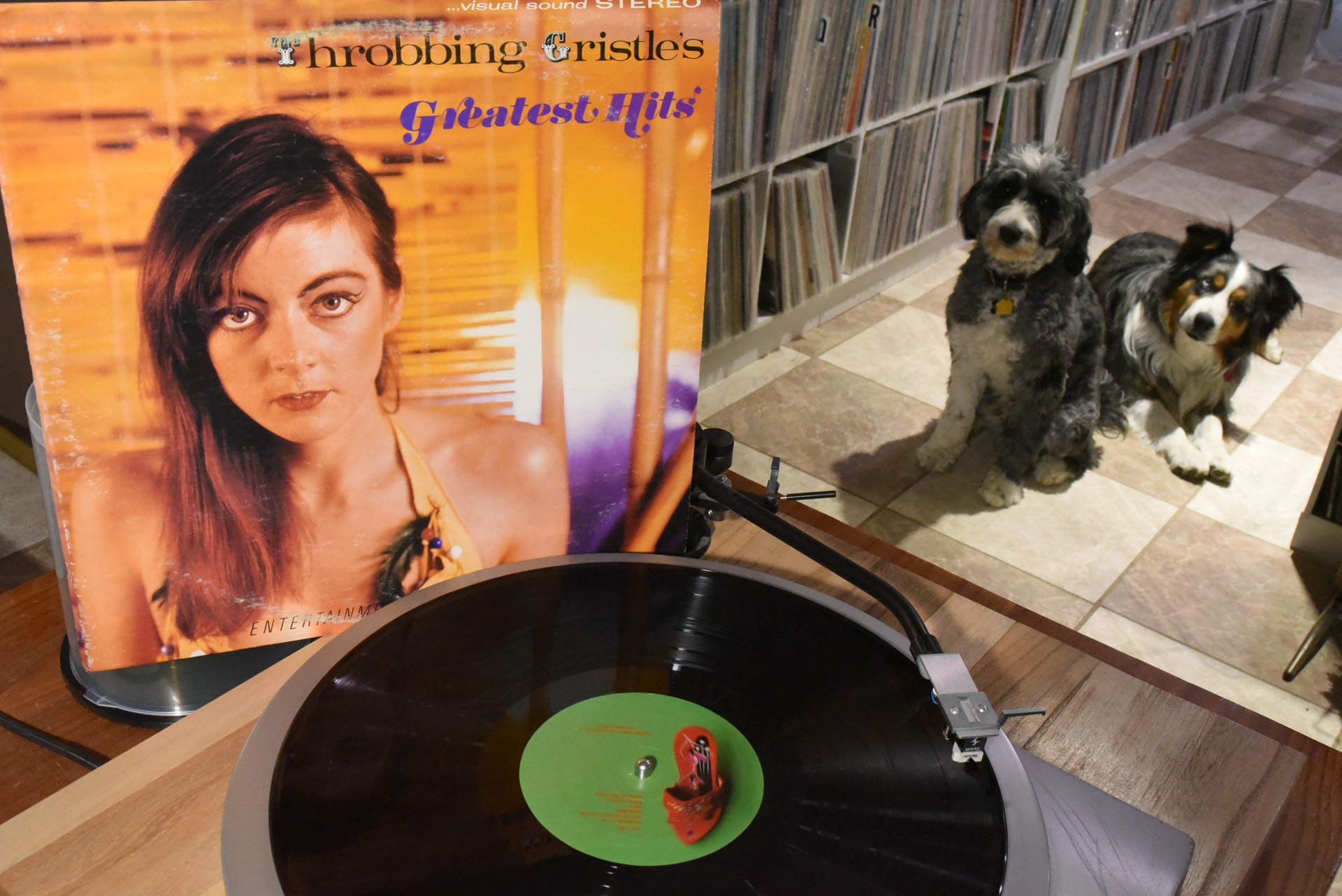 Throbbing Gristle's Greatest Hits album cover art