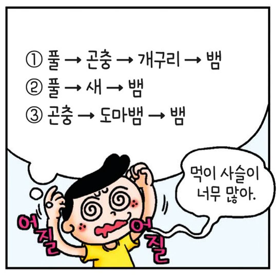 먹이 사슬과 먹이 그물의 차이점