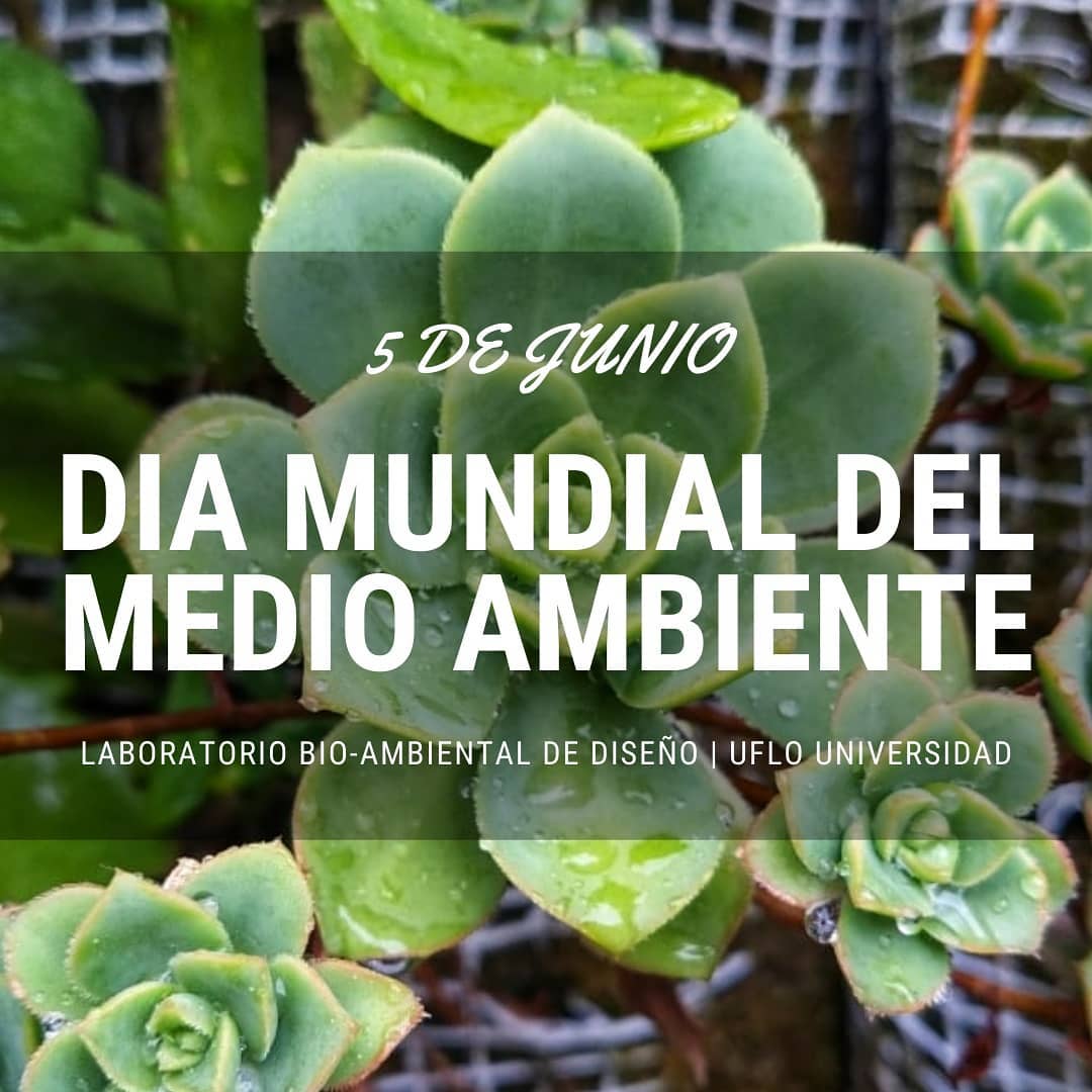 Laboratorio - Cada 5 de junio se celebra el Día Mundial del Medio ...
