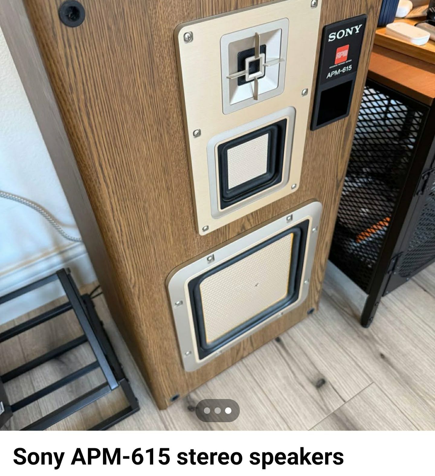 Sony APM-66ES speaker system.
