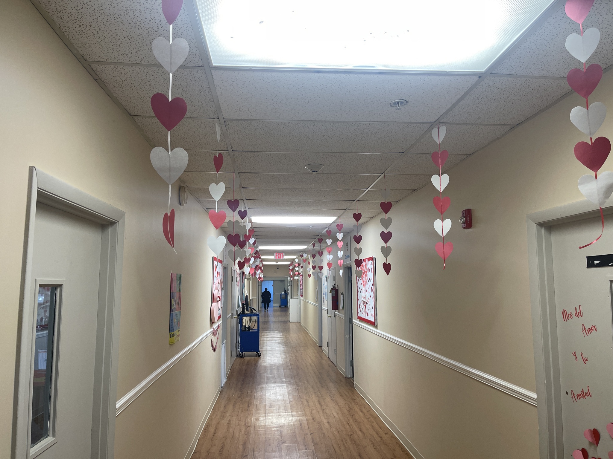 Tabula Rasa, The Language Academy | Sandy Springs GA