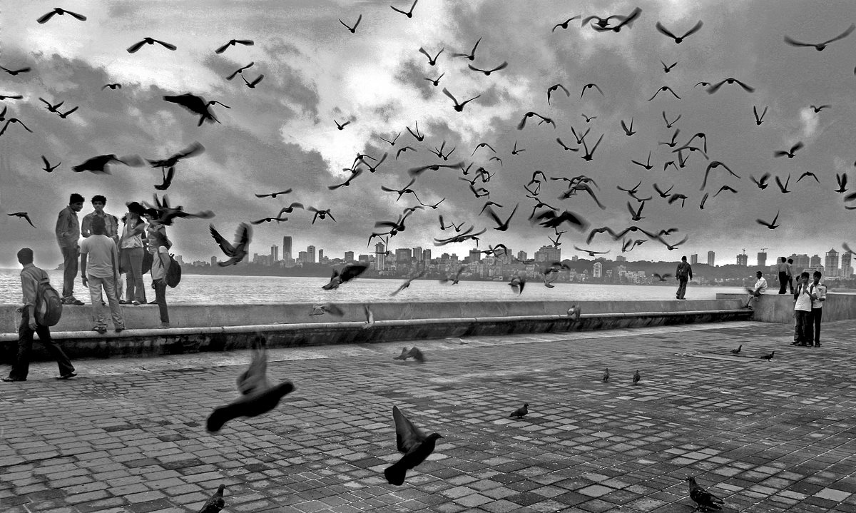 Nitin Rai Photography