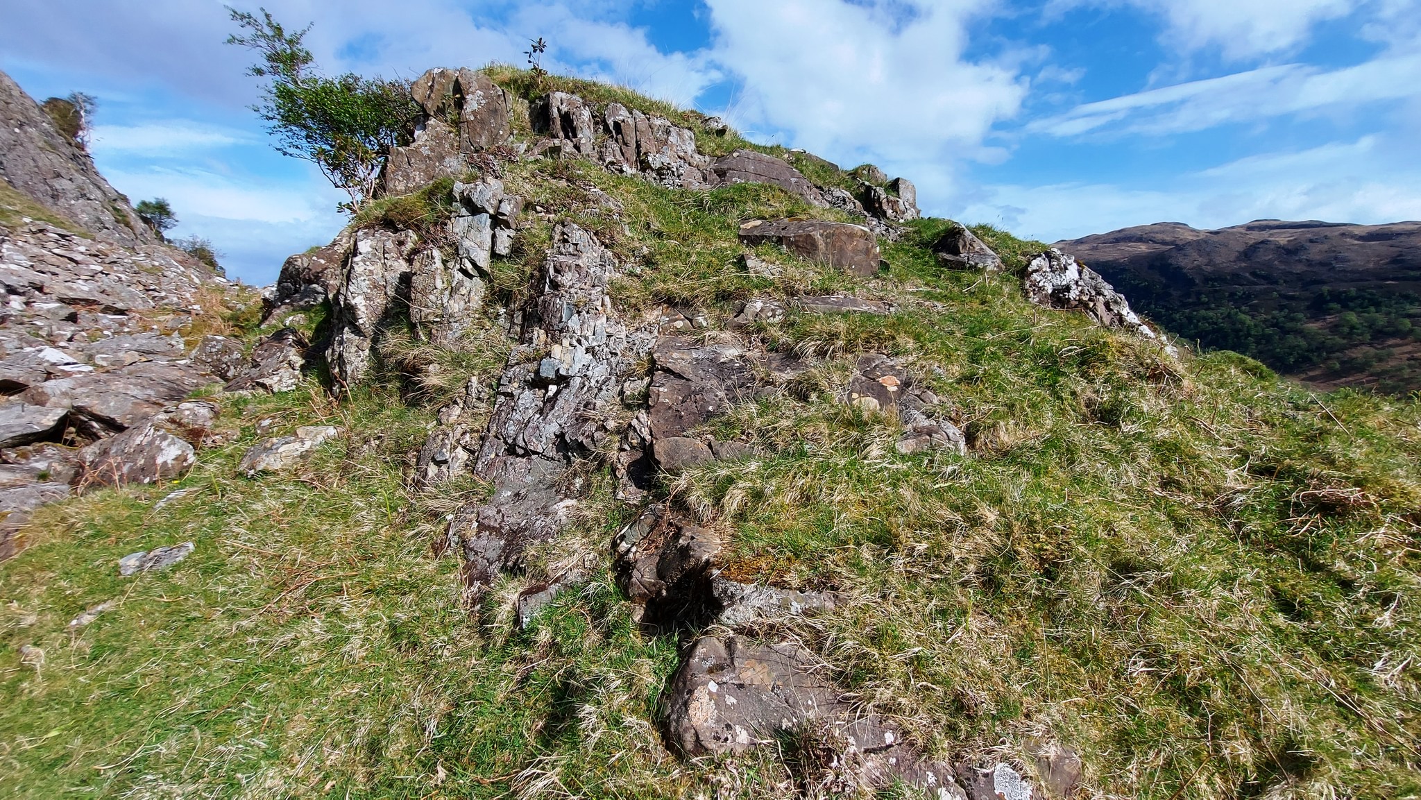Mull - This great little cleft on the hillside -there is a dyke running ...