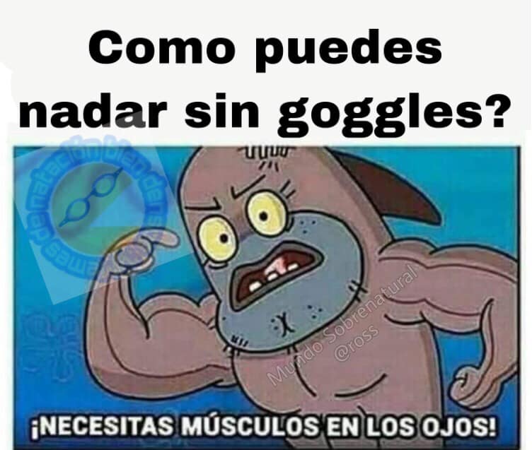 Jaja ahuevo En ABNEA... - Memes De Natación Bien Densos :v