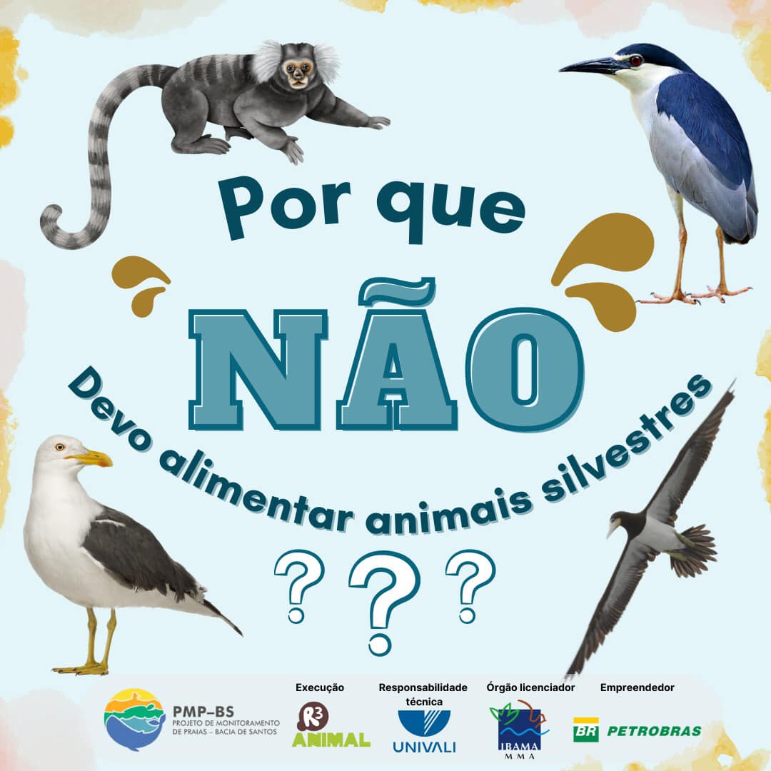 Por que não devemos alimentar... - Associação R3 Animal | Facebook