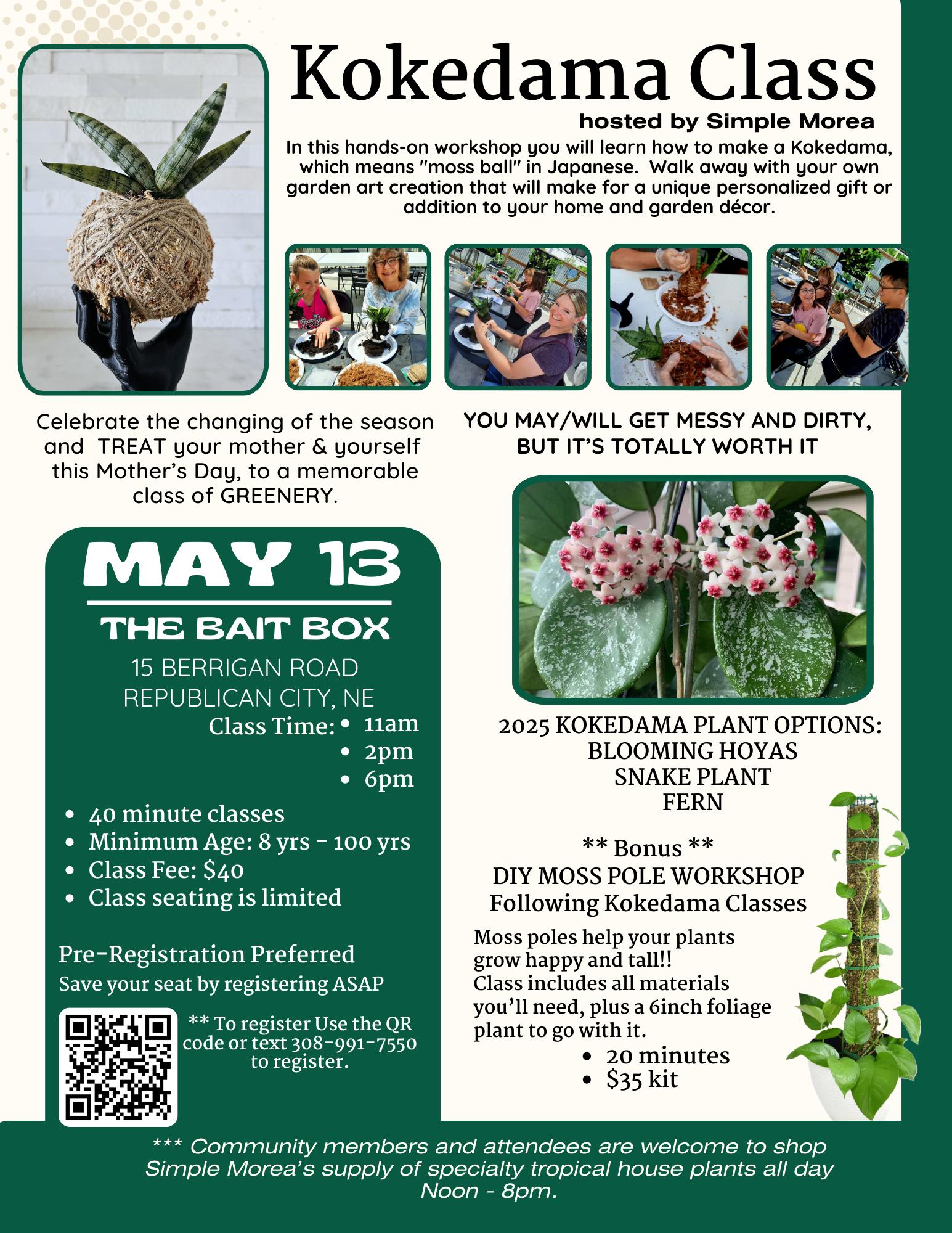 Simple Morea Kokedama Workshop