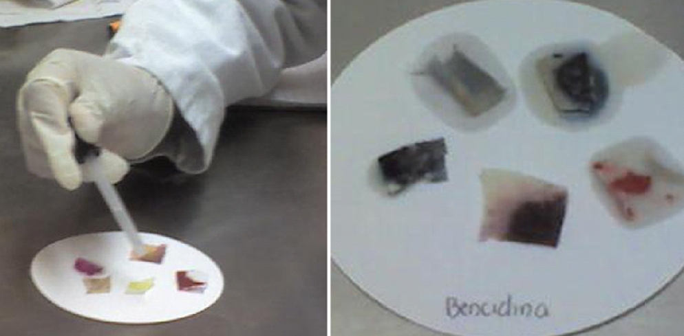 federaci-n-serologia-forense-t-cnicas-de-orientaci-n-para-la