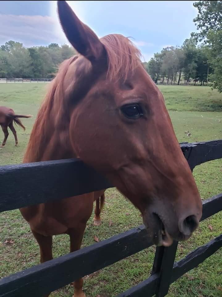 Holy Rock Ranch