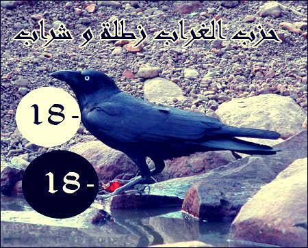 حزب الغراب زطلة وشراب Posts Facebook