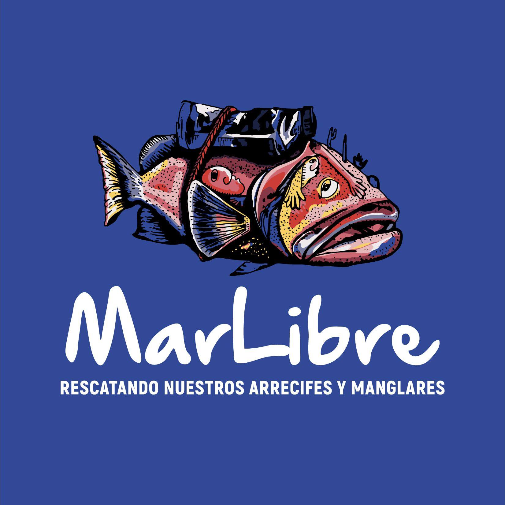 Los incansable voluntarios de Mar Libre en la limpieza mensual del mar ...