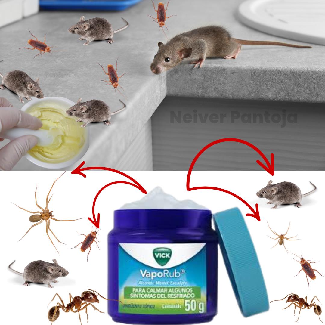 Neiver - Usa Vicks VapoRub para alejar a los insectos! ¿Sabías que el ...