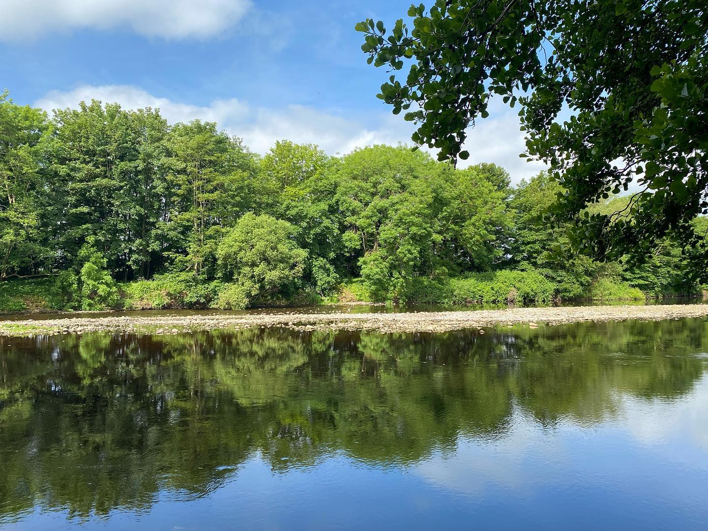 Happy Friday from our beautiful... - The Tees Rivers Trust