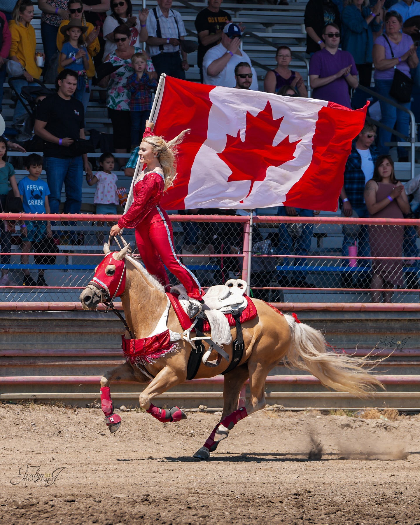 Rocky Pro Rodeo | Rocky Mountain House AB