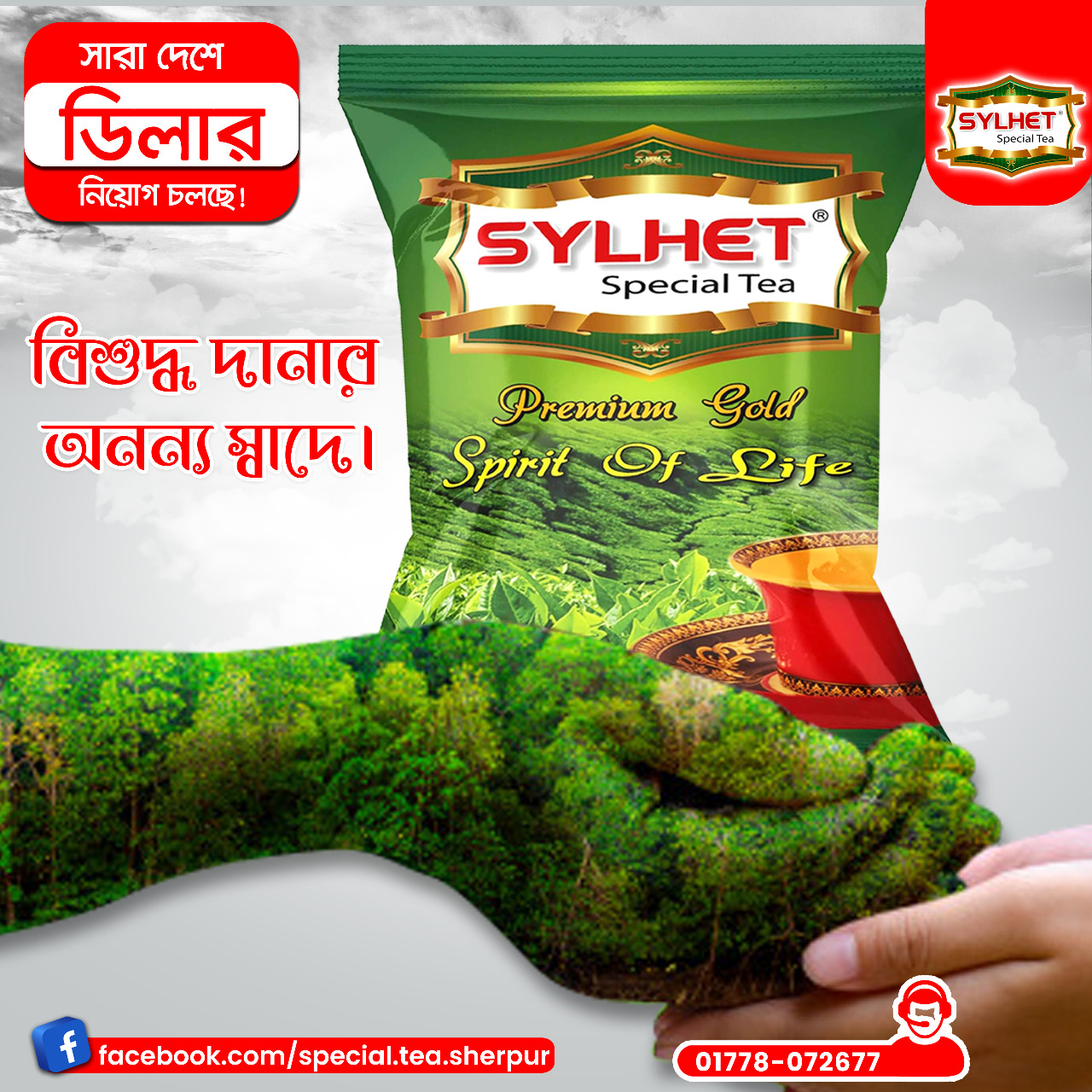 Sylhet special tea সিলেট স্পেশাল টি | Sylhet