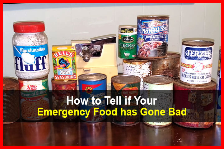 How to Tell if Your Food Has Gone... - Urban Survival Site