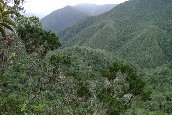 Yambrasbamba - Photo 2