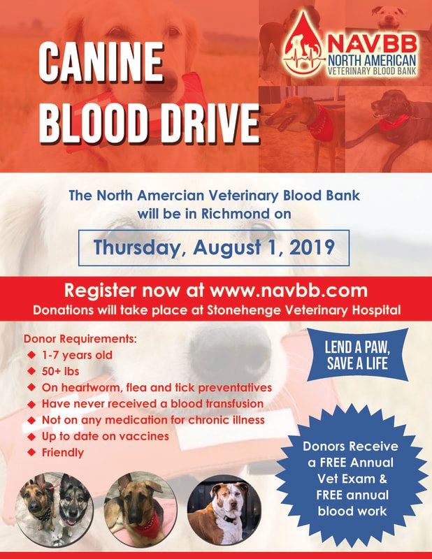 NAVBB - ‼️Calling All Dogs of Richmond‼️ NAVBB will be at...