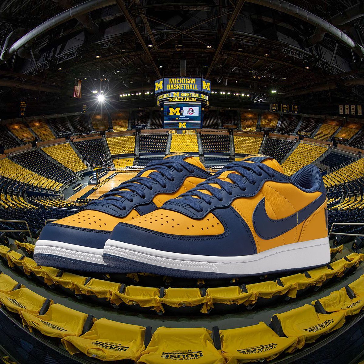 Nike Terminator Low Georgetown ------ Looking for a specific model 